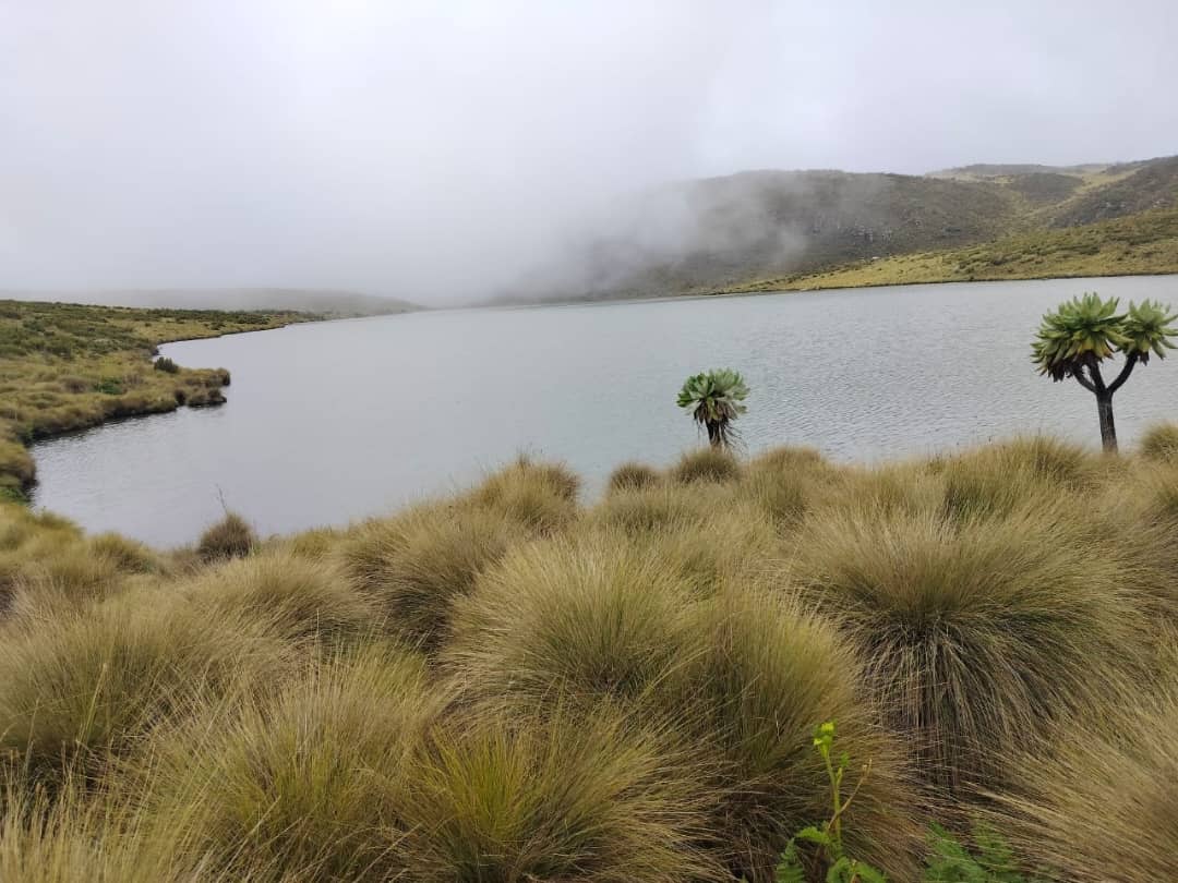 3-Day Lake Mburo National Park Tour