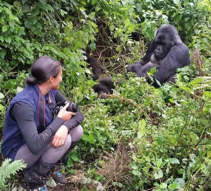 8 Days Gorillas, Big 5, Private Overland Safari
